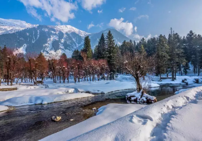 Amritsar with Srinagar Leh Ladakh Tour